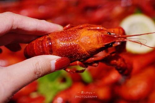 厦门龙虾爆料事件视频最新,视频揭露惊人内幕，海鲜市场乱象引关注